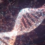 Ancient viruses embedded in our DNA help turn genes on and off, study shows