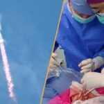 This week's science news: World's first pig-to-human lung transplant and successful SpaceX…