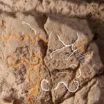 Researcher Claims to Have Found Moses' Signature in Egypt