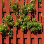 “Neighbor Started a War After I Refused to Move My Fence”