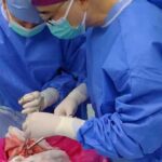 In world's first experiment, brain-dead man receives pig lung transplant for 9…