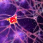 A groundbreaking gene therapy is the first treatment for Huntington's disease that…