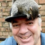 'He's my boy': Man who rescued injured squirrel says they're now inseparable