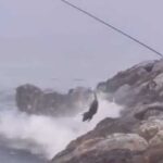Beach fisherman's horrific catch leaves people in shock