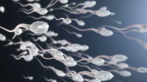 Scientists have invented “spermbots” that they pilot through an artificial cervix and…