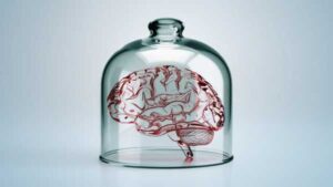 Tiny lab-grown 'brains' can gain consciousness and feel pain—and we're not ready…
