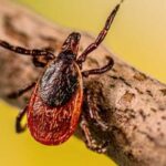 'Your concerns are well founded': How human activity has increased the risk…