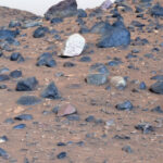 NASA reports possible signs of life on Mars