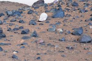 NASA reports possible signs of life on Mars