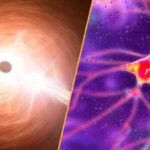 This week's science news: A breakthrough drug for Huntington's disease and a…