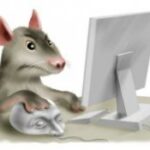 How to work on a computer without a mouse