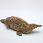 Platypus: Every fact here is a miracle of nature