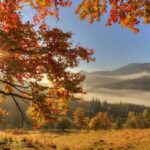 September is already here, but when will autumn begin? Everything you need…