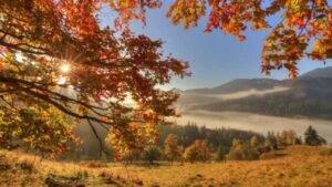 September is already here, but when will autumn begin? Everything you need…