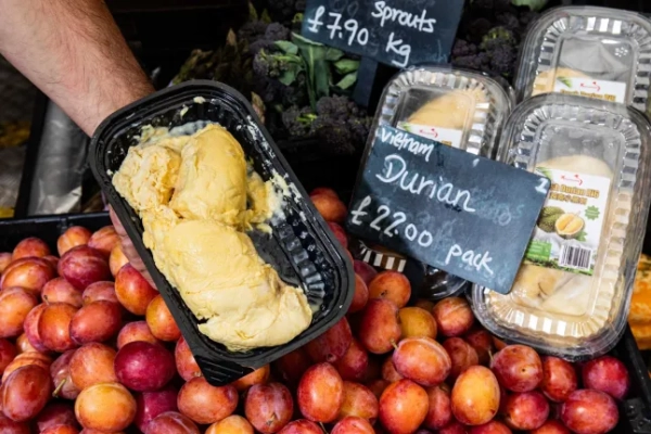 A Vietnamese durian sells for £22 outside a grocery store. An engineer sent to investigate a suspected gas leak at a greengrocer was shocked to discover the world's smelliest fruit was the culprit. Staff at Strongs Fruit and Veg were stunned when a Cadent gas systems engineer entered to try to determine the source of the leak. Photo published 22/09/2025.