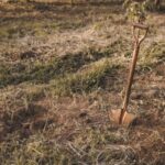 A man found a 'creepy' time capsule while gardening, but he's terrified…