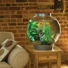 How to decorate an apartment interior according to Feng Shui?