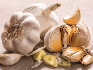 Scientists Explain What Will Happen to Our Body if We Eat Garlic…