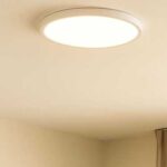 Cons of LED ceiling chandeliers, which we only learned about when we…