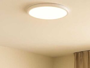 Cons of LED ceiling chandeliers, which we only learned about when we…