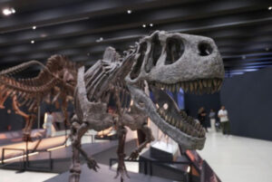 Paleontologists discover dinosaur-era crocodile in Patagonia
