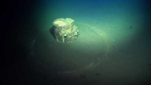 Scientists Finally Know What's Inside Mysterious 'Halo' Barrels Sunken Off Los Angeles…