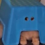 Funny cat decided to play James Bond under a stool