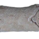 Ancient whistle made from cow's toe bone discovered in Egypt