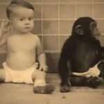 Horrifying results of chilling experiment involving parents raising a child with a…