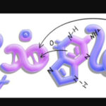 Google Doodle Explores DNA