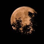 The Full Moon in Pisces is coming in the coming days and…