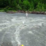 Cairo Fossil Forest: The oldest forest in North America, with trees 385…