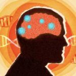 Remnants of ancient viruses make up 40% of our genome. They can…