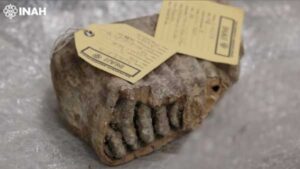 Ancient DNA from Mexican mammoths reveals unexpected and unexplained genetic secrets