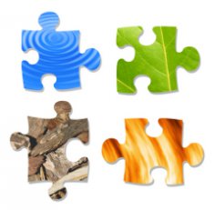 Which Feng Shui element influences your character the most?