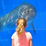 “It turns out it's just a delusion”: Everyone knows that dolphins are…