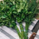 Which is healthier – parsley or dill: doctors gave a clear answer
