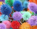 The role of color in website design