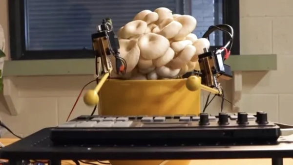 Mushrooms with bionic arms growing out of them
