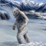 The mystery of the furry Yeti