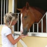 How to make friends with a horse?