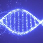 Gene Lost by Human Ancestors Millions of Years Ago Could Help Treat…