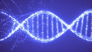 Gene Lost by Human Ancestors Millions of Years Ago Could Help Treat…