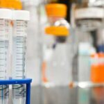 “The results were impressive”: Scientists have created stem cells that can slow…