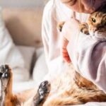 A cat will change your brain. Here's how.