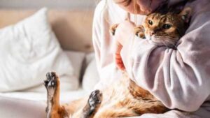 A cat will change your brain. Here's how.