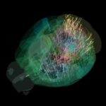 Map of 600,000 Brain Cells Rewrites Textbook on How the Brain Makes…