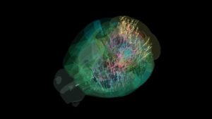 Map of 600,000 Brain Cells Rewrites Textbook on How the Brain Makes…