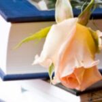 Roses, tears and love… Why do we need women’s novels?