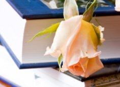 Roses, tears and love… Why do we need women’s novels?